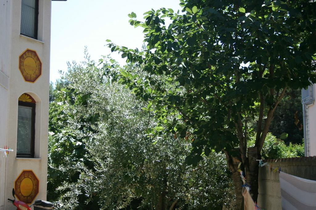 רוביני Apartments Nea מראה חיצוני תמונה